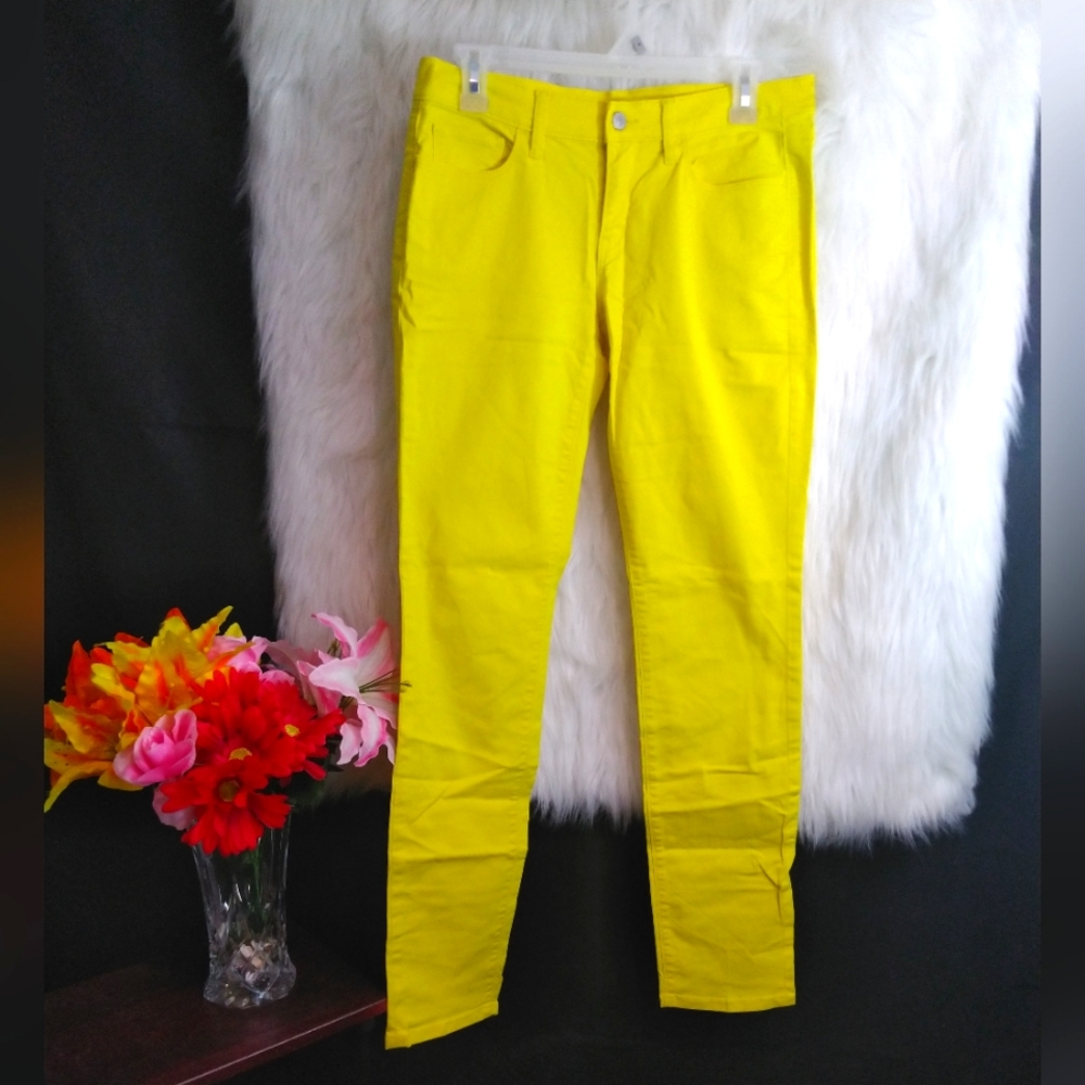 Ann Taylor Loft Modern Skinny Size 27/4